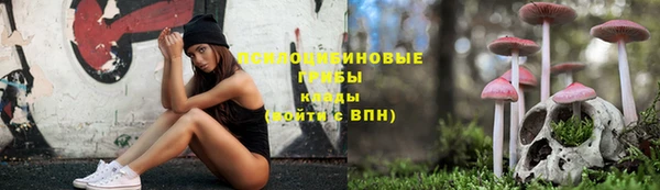 бошки Алексеевка