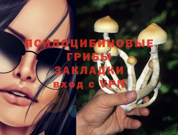 бошки Алексеевка